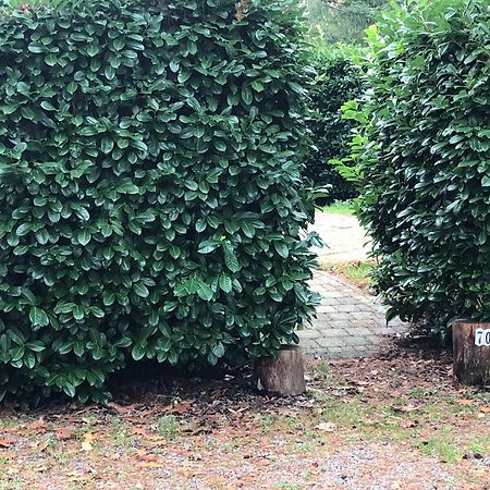 Vrijstaand Chalet In Bospark Villa Hattemerbroek Kültér fotó